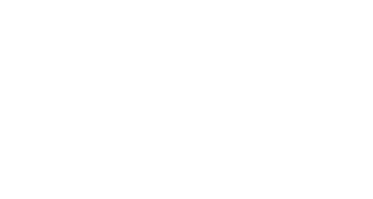 AIRI logo